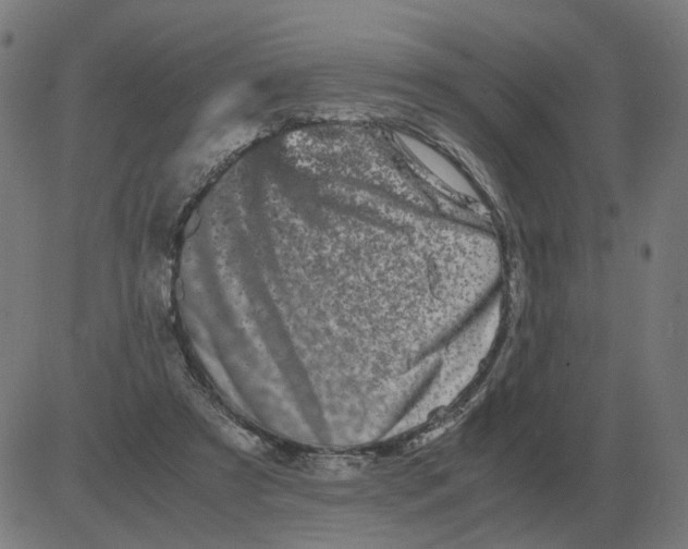 X0000081490305200702100037