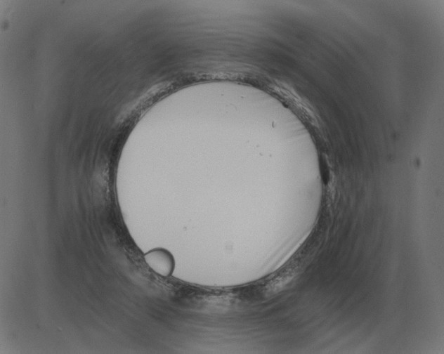 X0000081490306200702100037