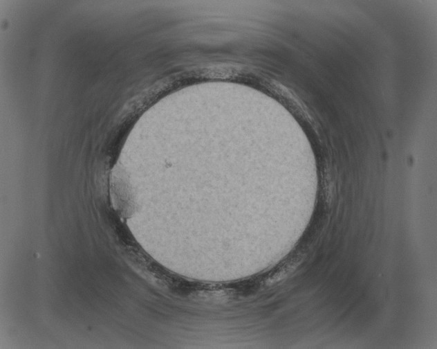 X0000081490307200702100037