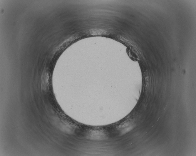 X0000081490308200702100037