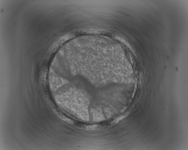 X0000081490309200702100037