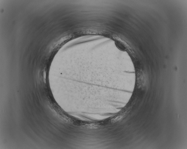 X0000081490310200702100036