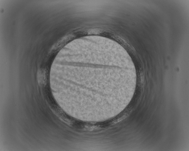 X0000081490311200702100036