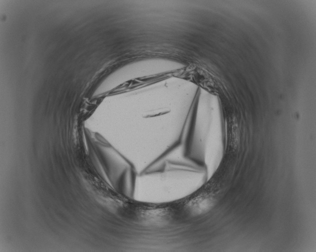 X0000081490312200702100036