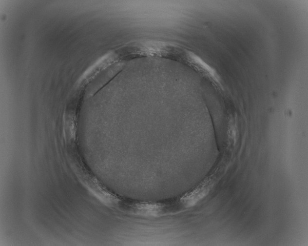 X0000081490313200702100036