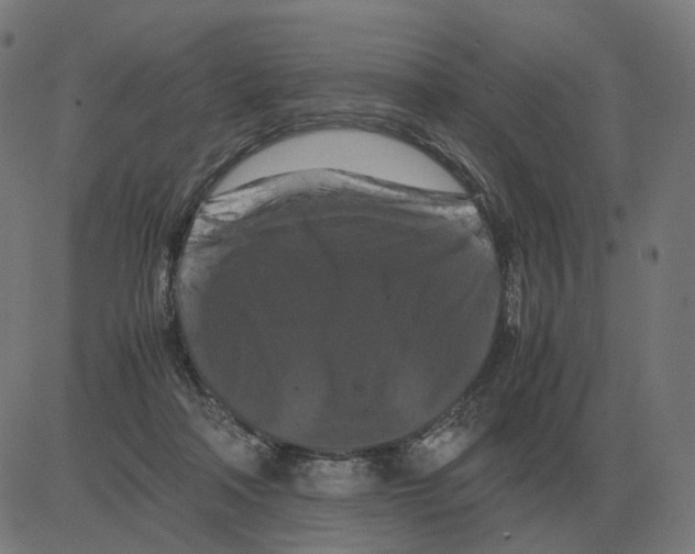 X0000081490314200702100036