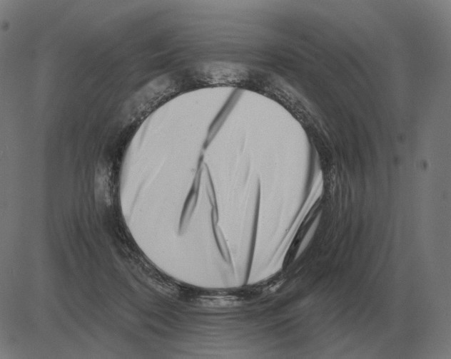 X0000081490316200702100036