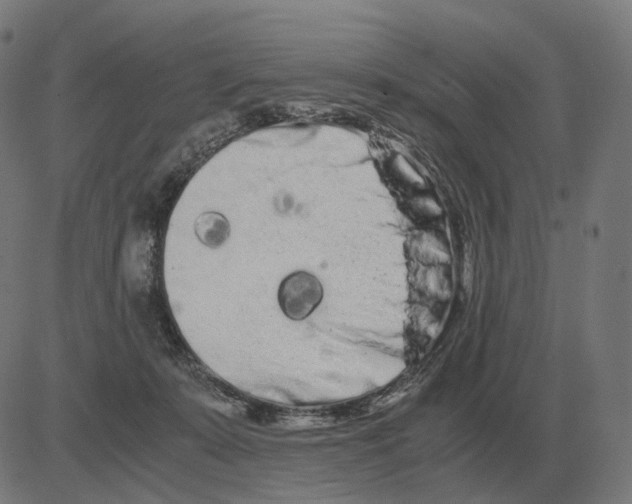 X0000081490319200702100036