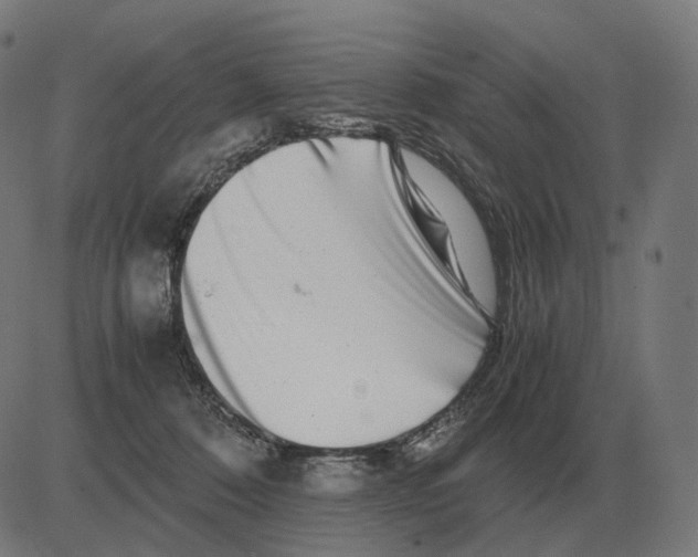 X0000081490320200702100036