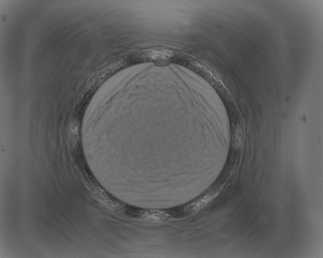 X0000081490321200702100036