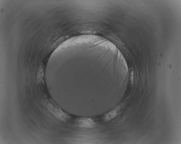 X0000081490322200702100036