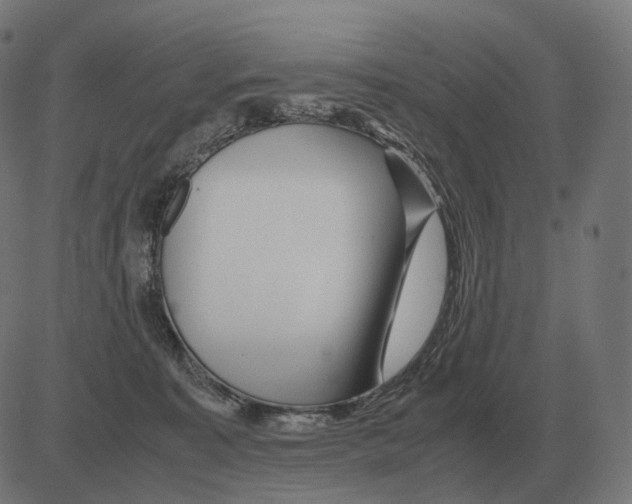 X0000081490323200702100036