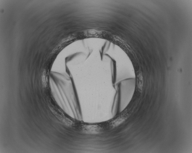 X0000081490324200702100036