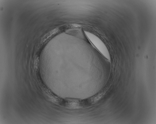 X0000081490325200702100036