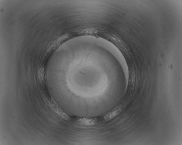 X0000081490326200702100036