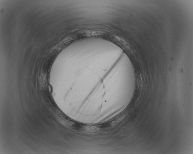 X0000081490327200702100036