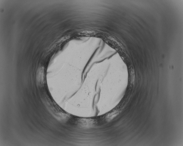 X0000081490328200702100036