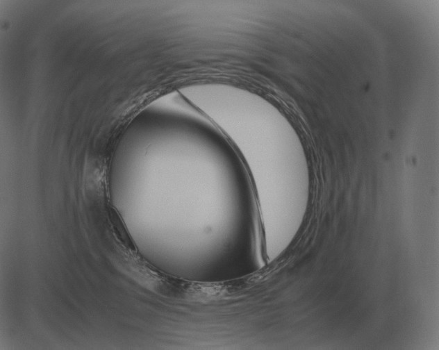 X0000081490329200702100036