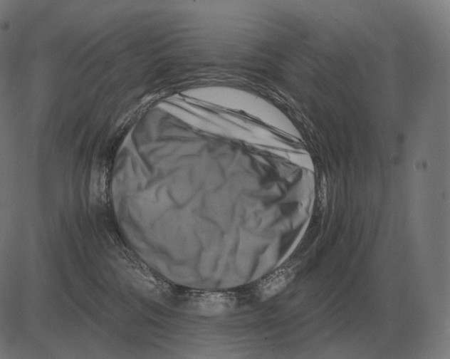 X0000081490330200702100036