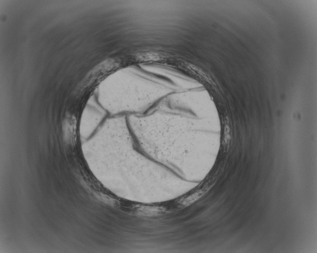 X0000081490332200702100036