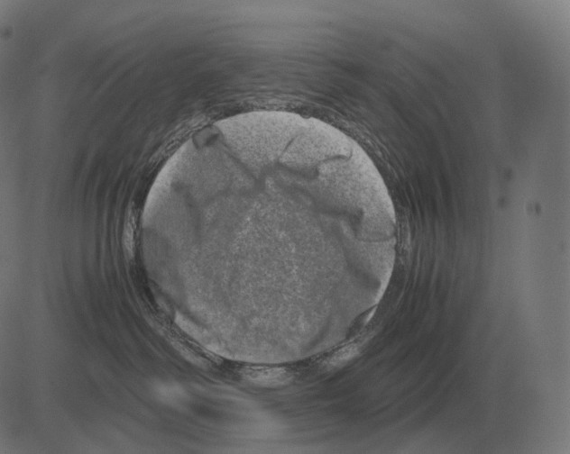 X0000081490334200702100036