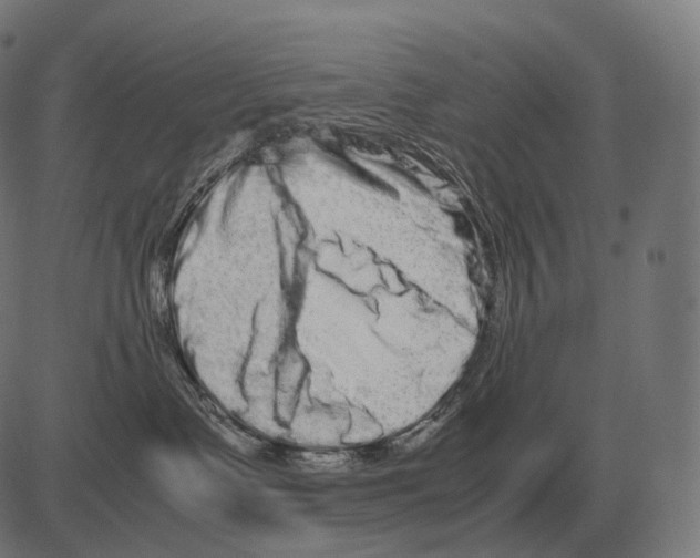 X0000081490335200702100036