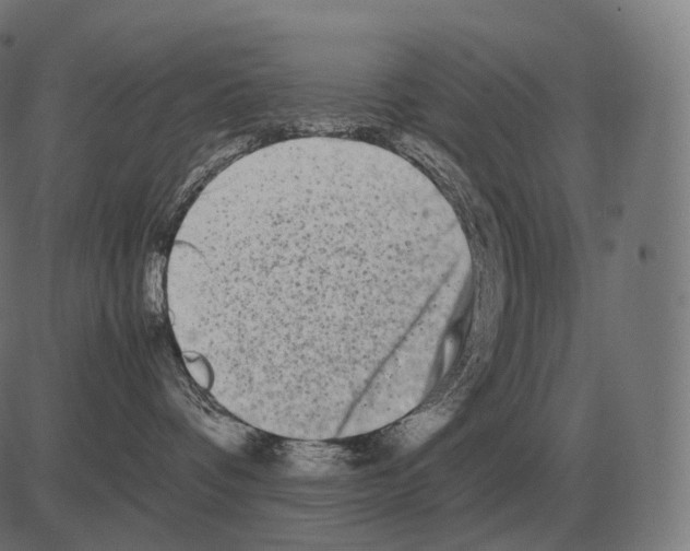 X0000081490336200702100036