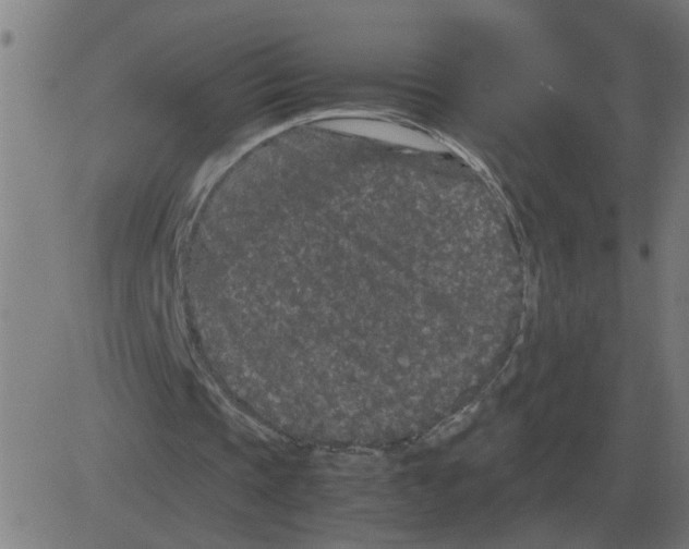 X0000081490337200702100035