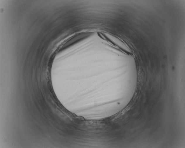 X0000081490338200702100035