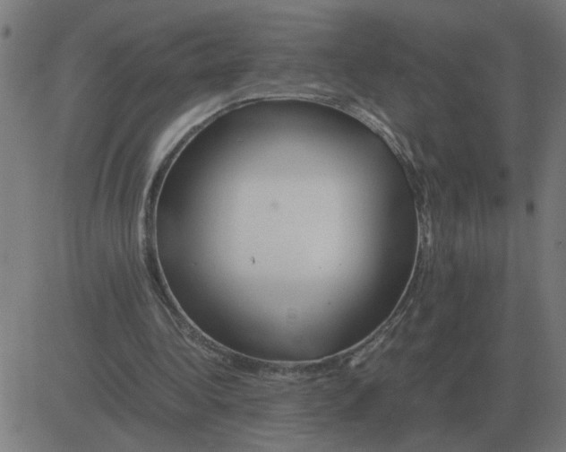 X0000081490340200702100035