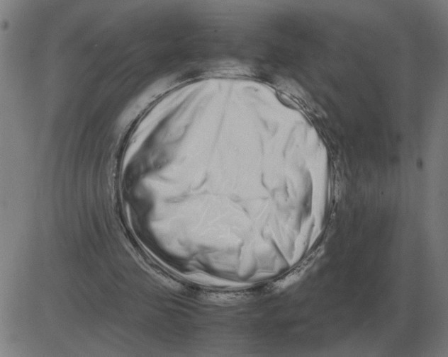 X0000081490341200702100035