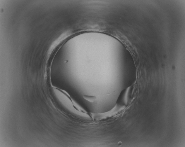 X0000081490344200702100035