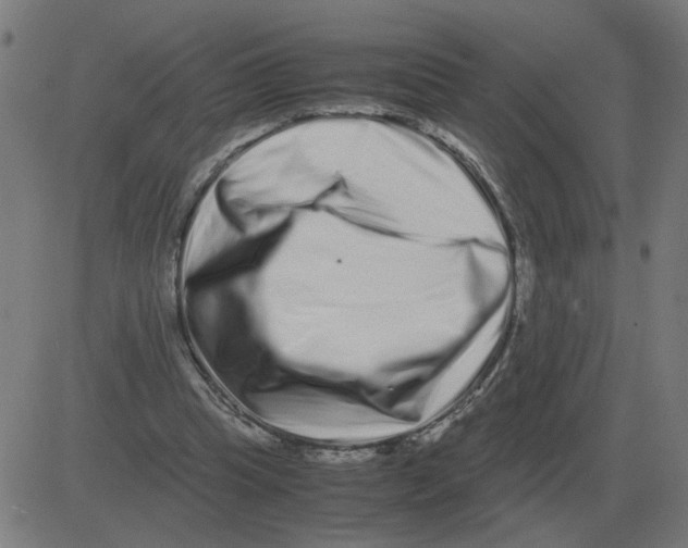 X0000081490345200702100035