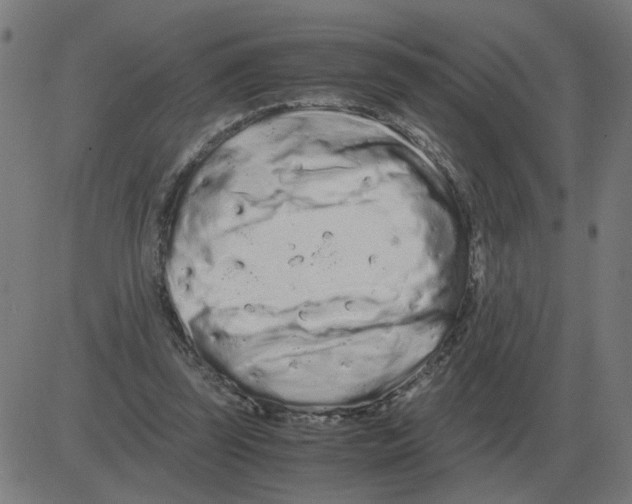 X0000081490347200702100035