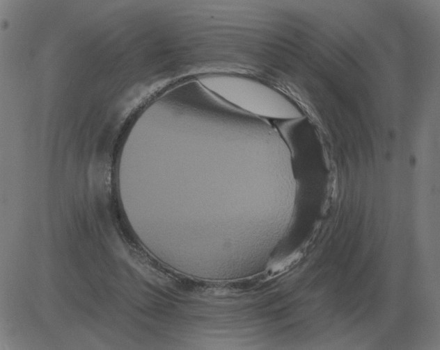 X0000081490348200702100035