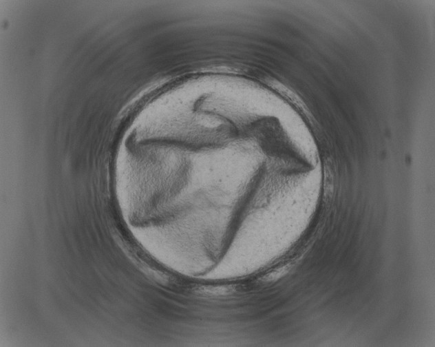 X0000081490349200702100035