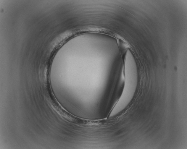 X0000081490350200702100036