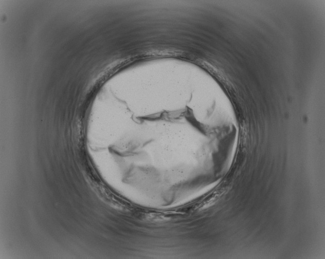 X0000081490351200702100036