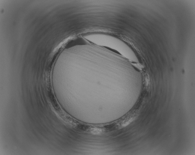 X0000081490352200702100036