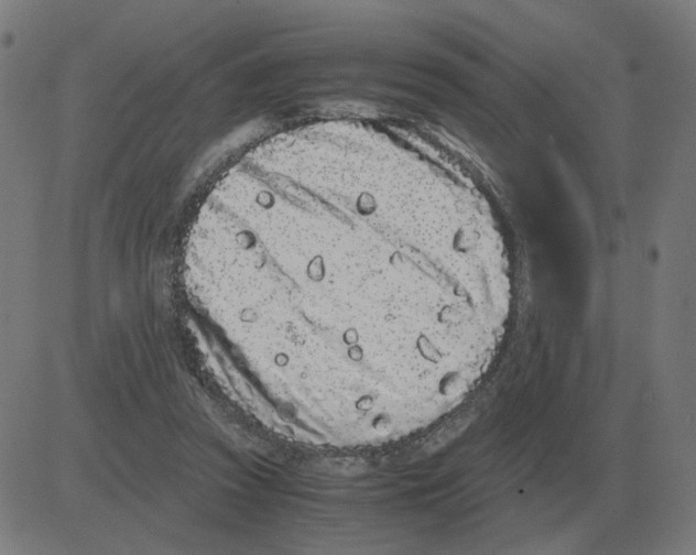 X0000081490353200702100036