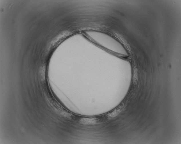 X0000081490354200702100036