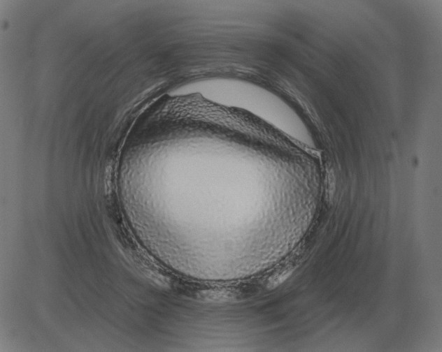 X0000081490356200702100036