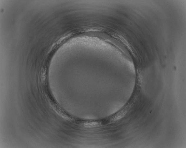 X0000081490357200702100036