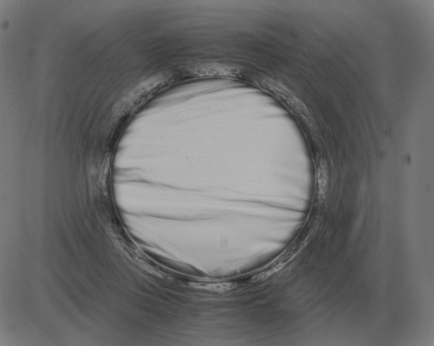 X0000081490359200702100036