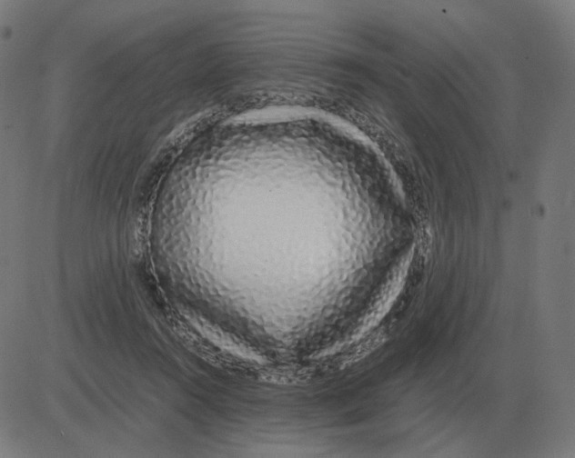 X0000081490360200702100036