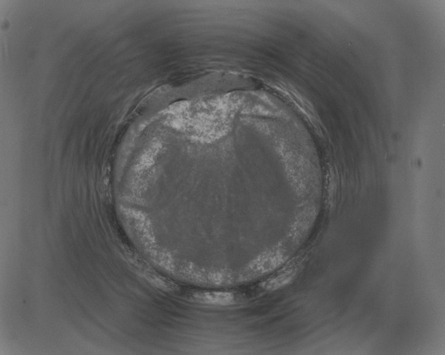 X0000081490361200702100036