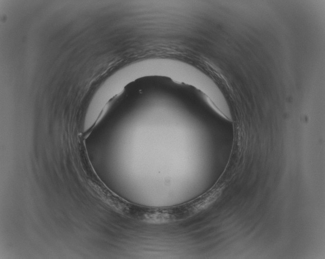 X0000081490362200702100036