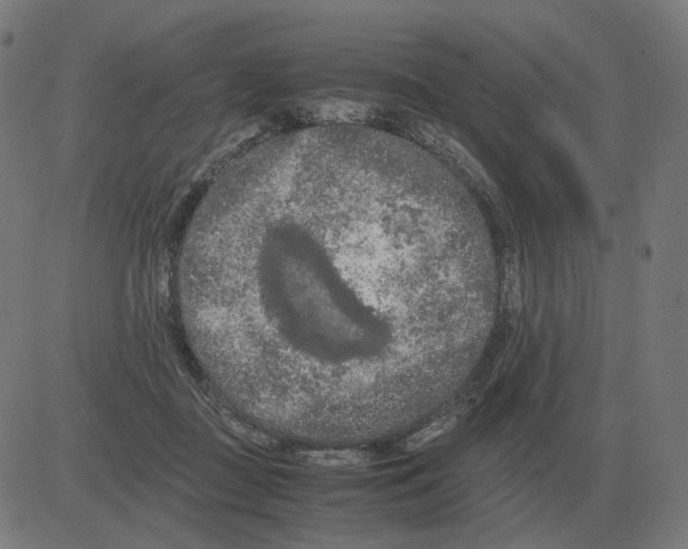 X0000081490363200702100036