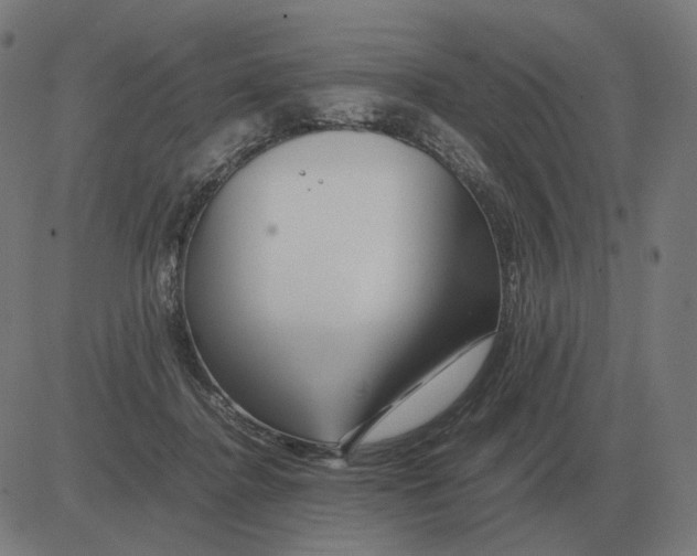 X0000081490364200702100036