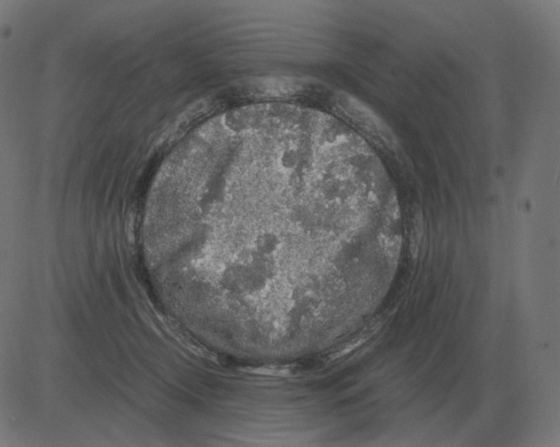 X0000081490366200702100036